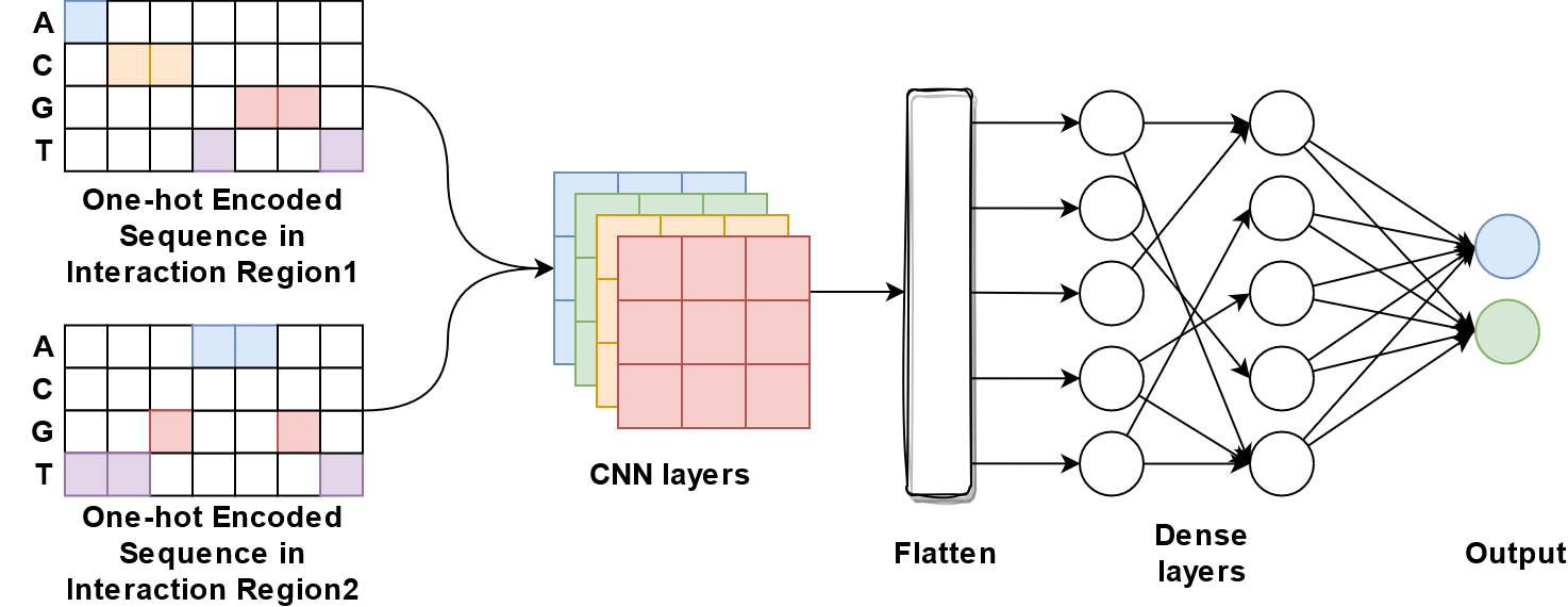 ../_images/onehot_cnn_one_branch.png