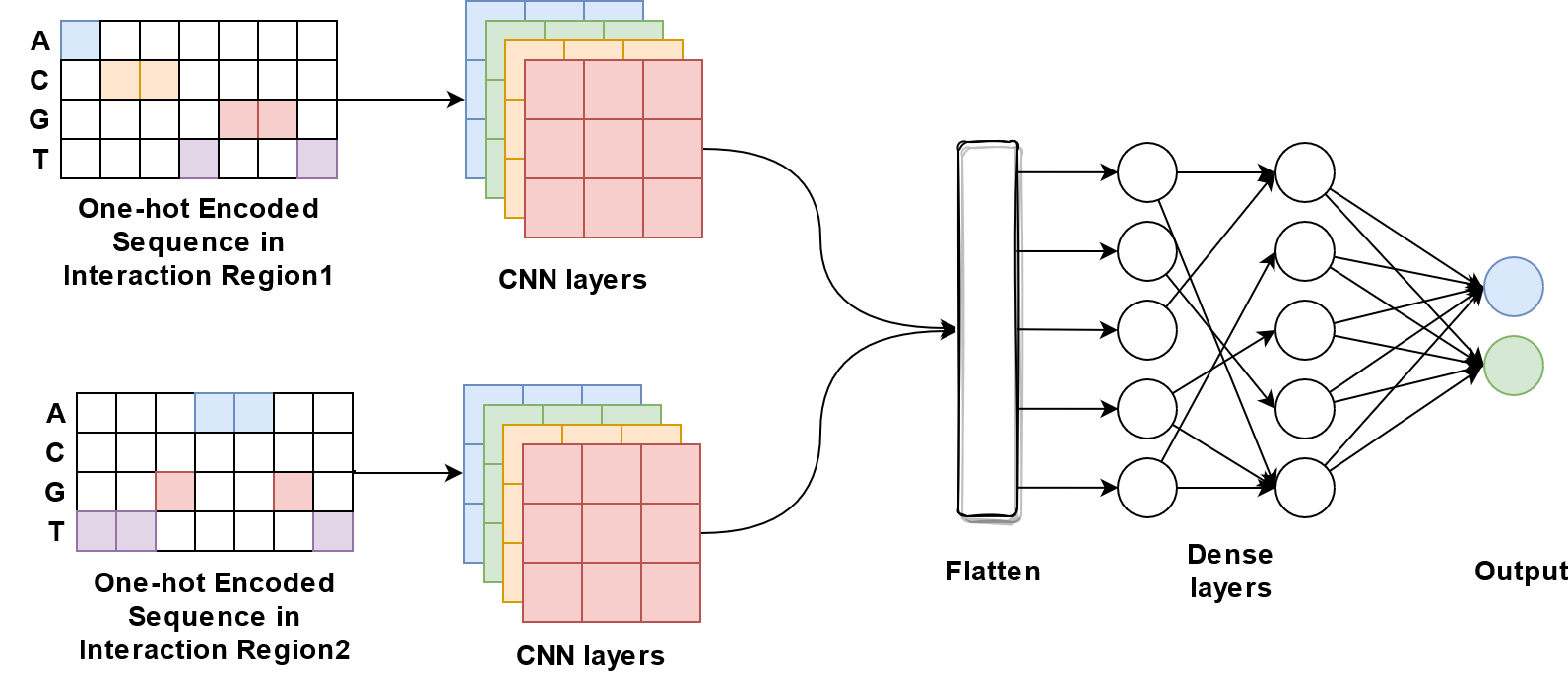 ../_images/onehot_cnn_two_branch.png