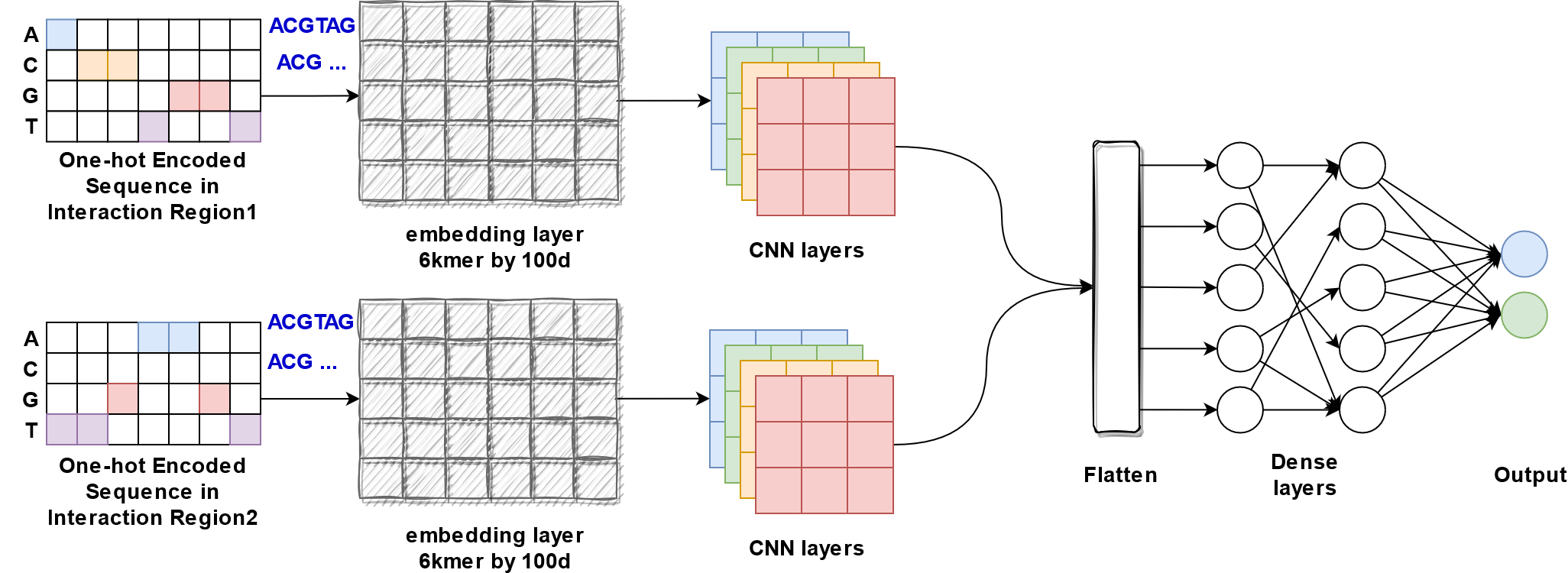 ../_images/onehot_embedding_cnn_two_branch.png