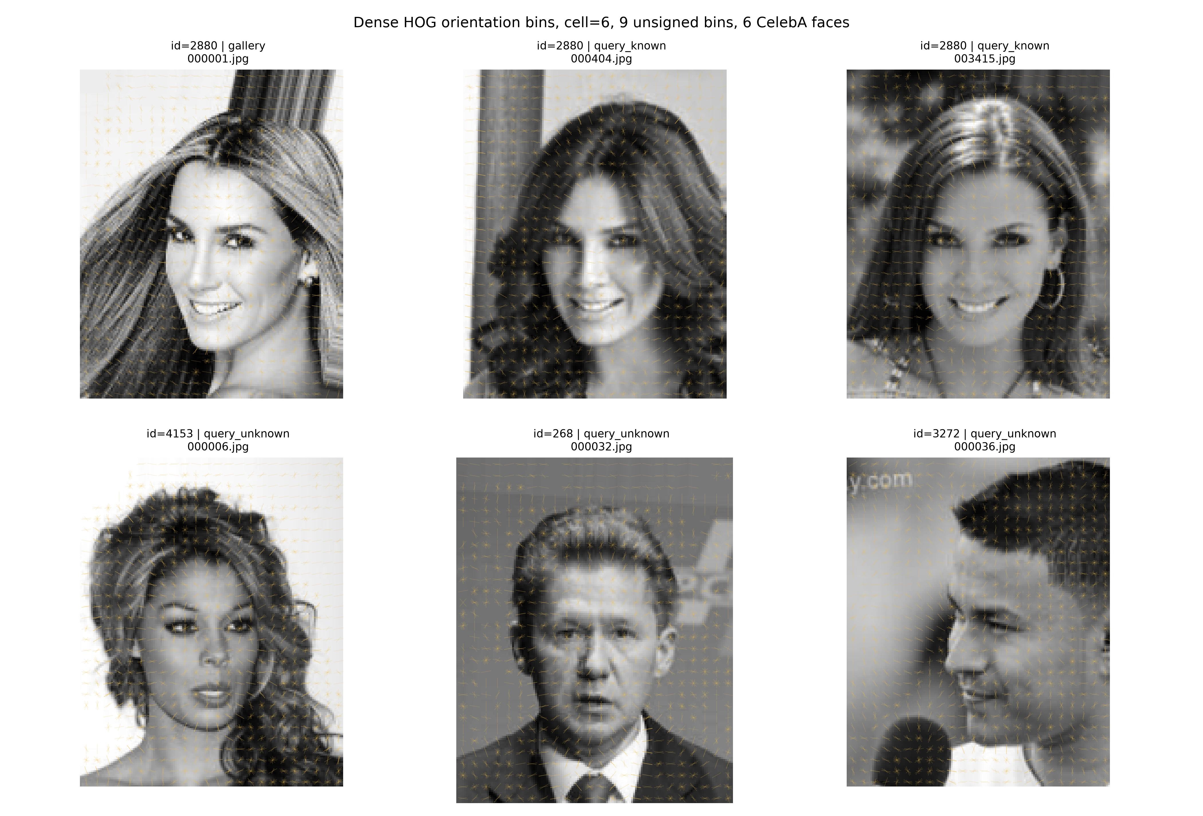 HOG feature grid