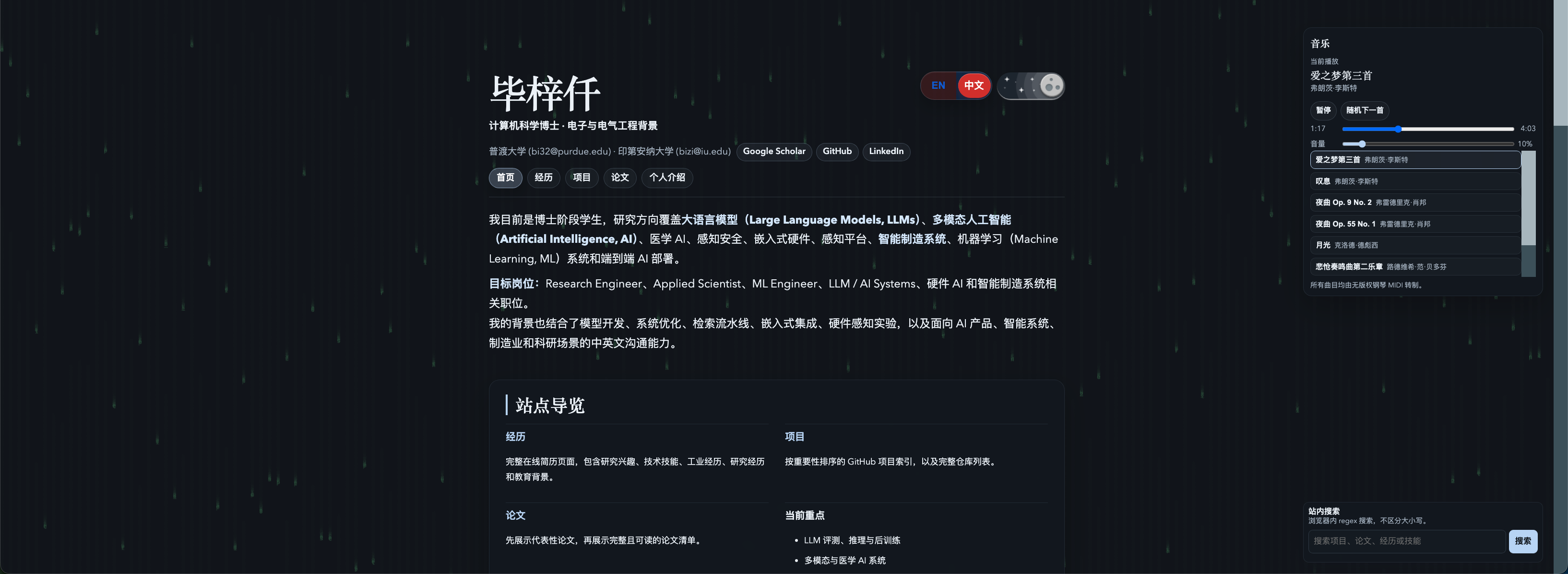Chinese Homepage in Dark Theme